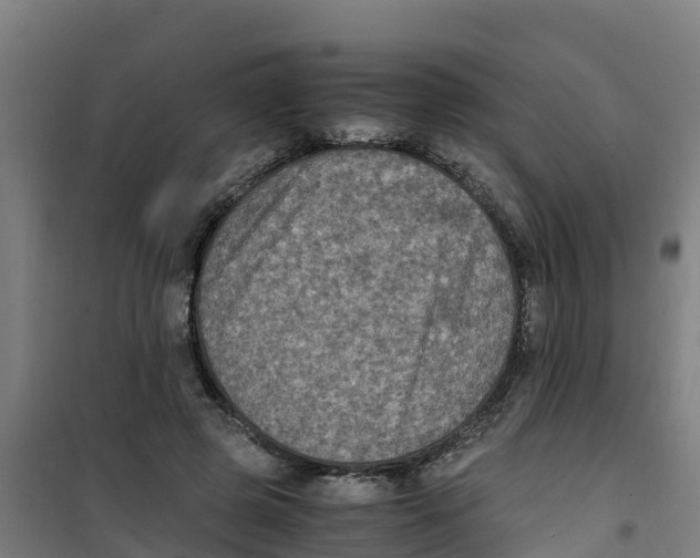 X0000100350545200807031816