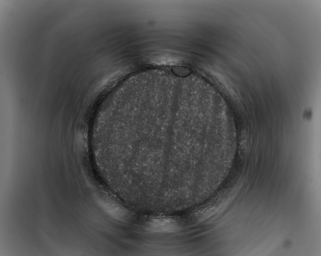 X0000100350547200807031816