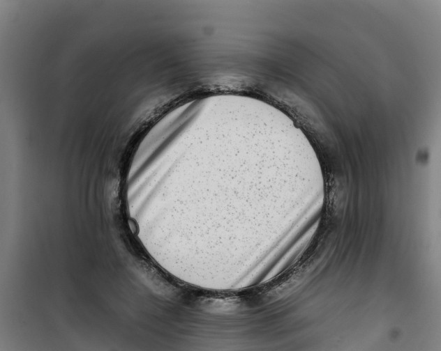 X0000100350548200807031816