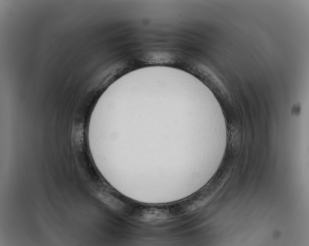 X0000100350549200807031816