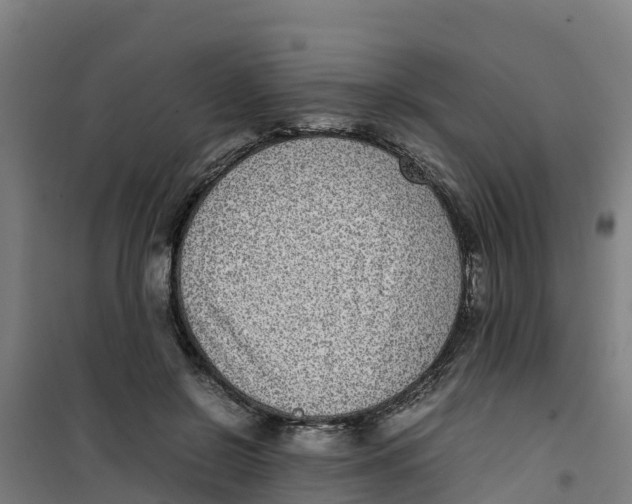 X0000100350550200807031816