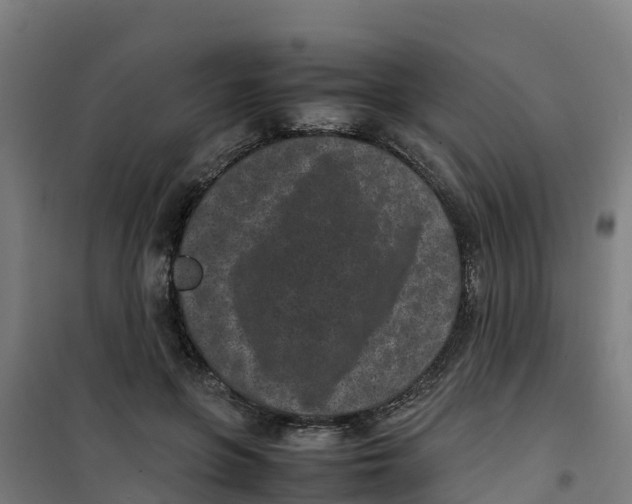 X0000100350551200807031816