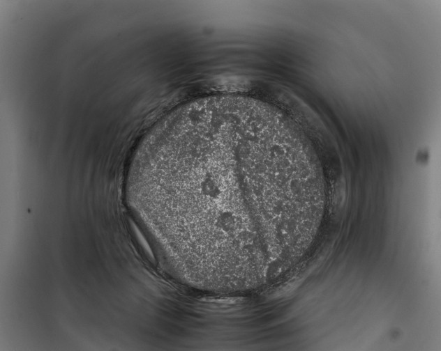 X0000100350553200807031816