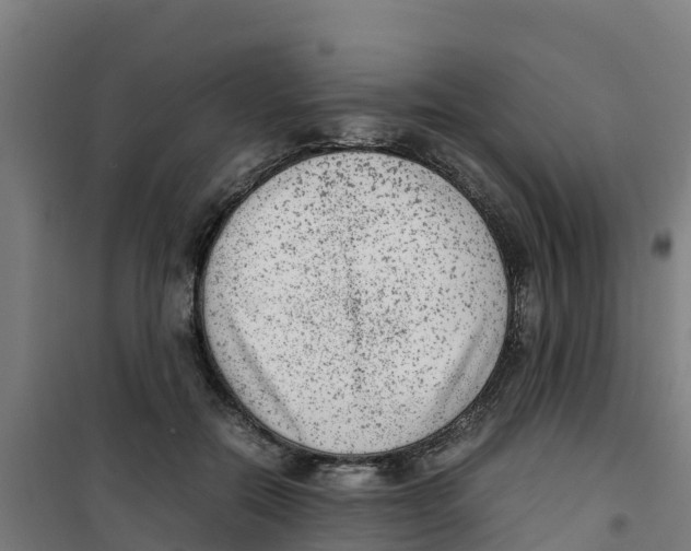 X0000100350554200807031816