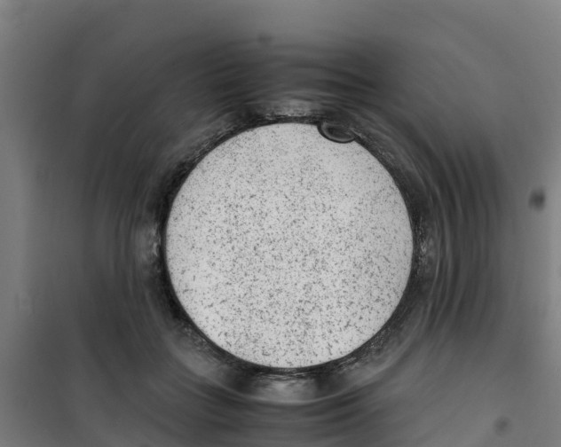 X0000100350555200807031816