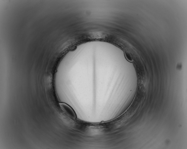 X0000100350556200807031817