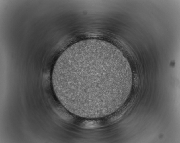 X0000100350557200807031817