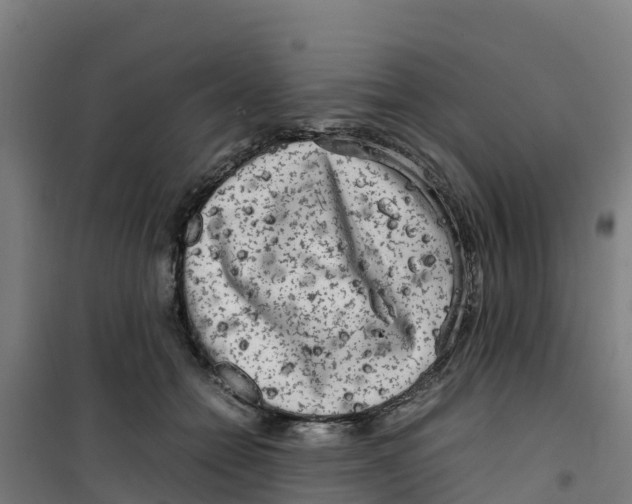 X0000100350558200807031817