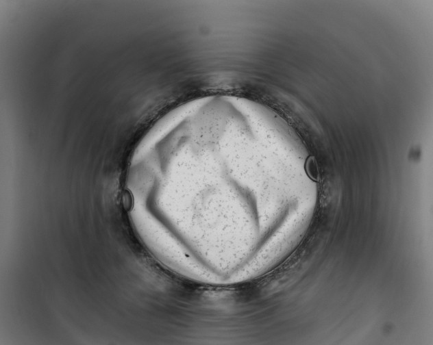 X0000100350560200807031817