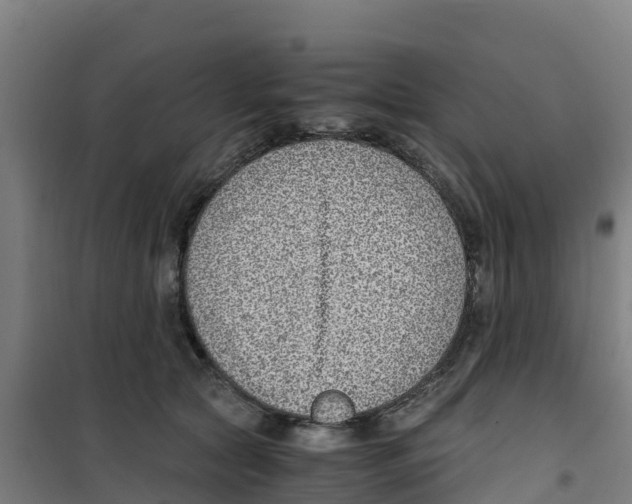 X0000100350561200807031817