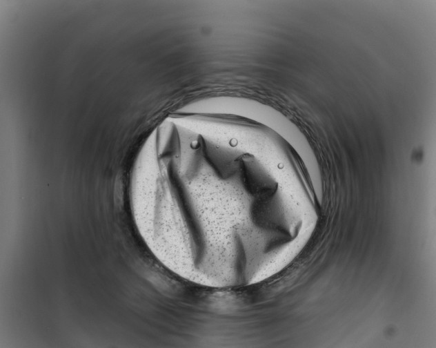 X0000100350562200807031817