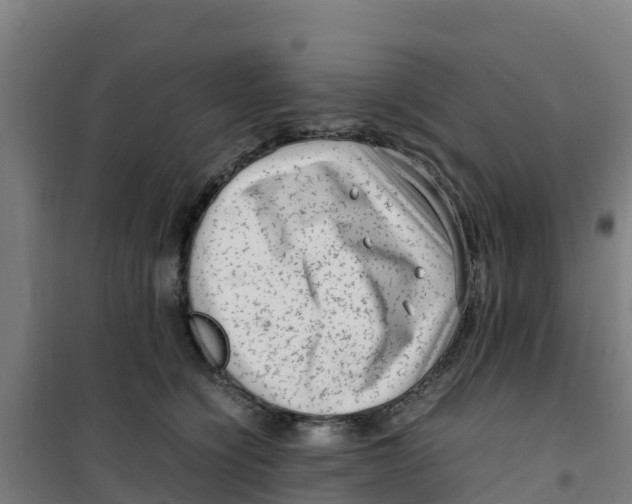 X0000100350564200807031817