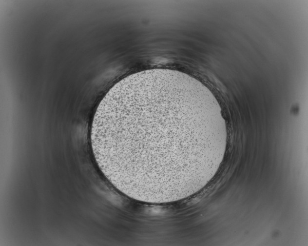 X0000100350565200807031817