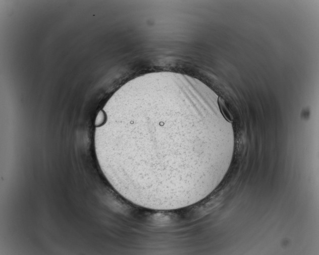 X0000100350566200807031817