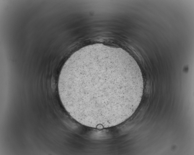 X0000100350569200807031817