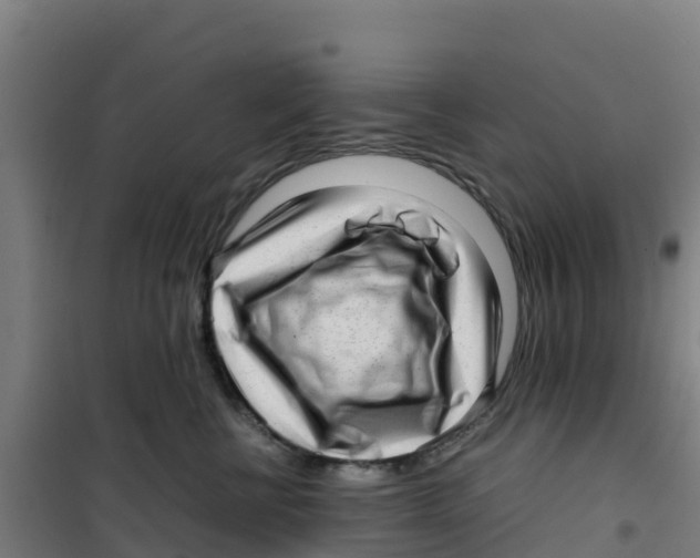 X0000100350570200807031817