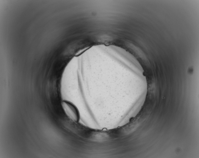 X0000100350572200807031817