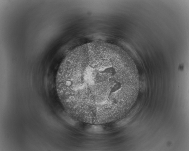 X0000100350573200807031817