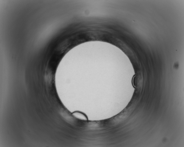 X0000100350574200807031817