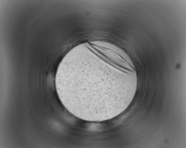 X0000100350575200807031817