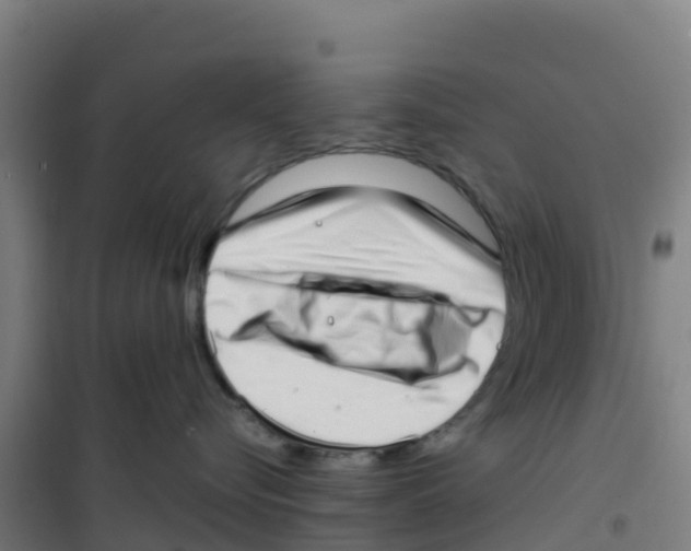 X0000100350576200807031817