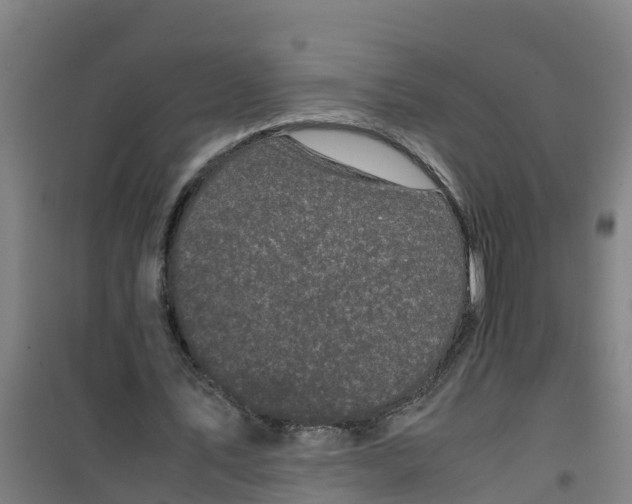 X0000100350579200807031816