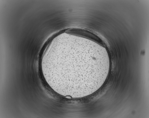 X0000100350580200807031816