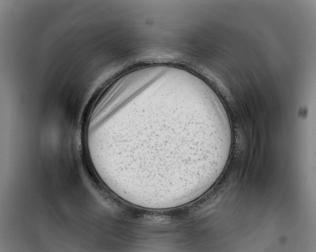 X0000100350582200807031816