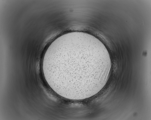 X0000100350586200807031816