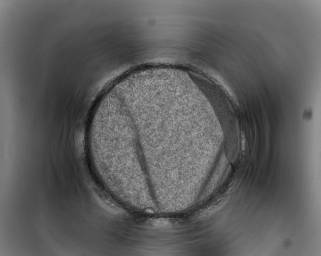 X0000100350588200807031816