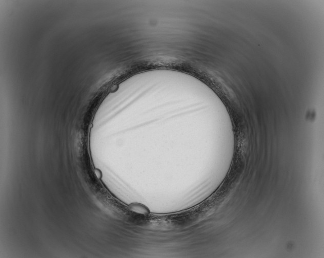 X0000100350591200807031816