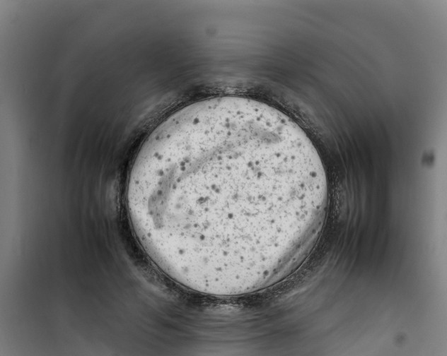 X0000100350594200807031816