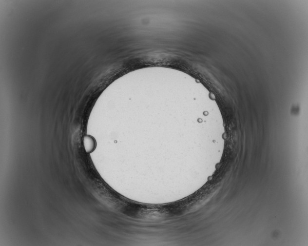 X0000100350597200807031816