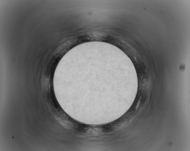 X0000100350599200807031816