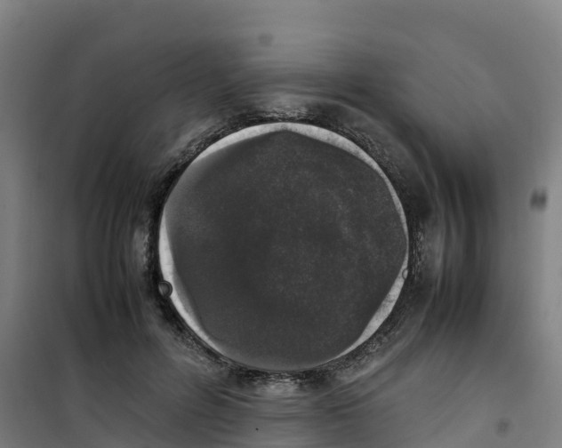 X0000100350600200807031816