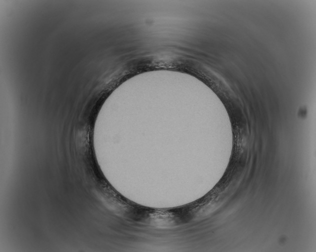 X0000100350603200807031816