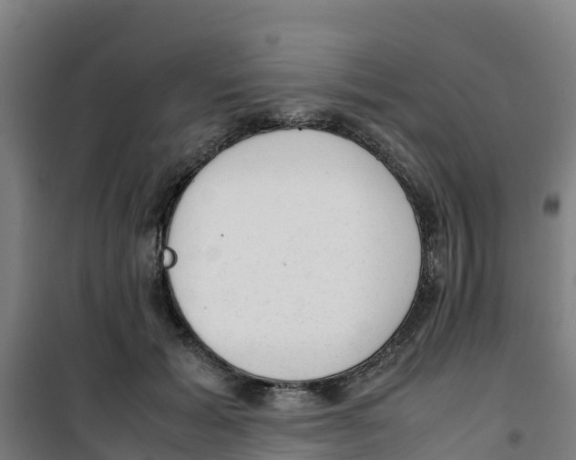 X0000100350605200807031815