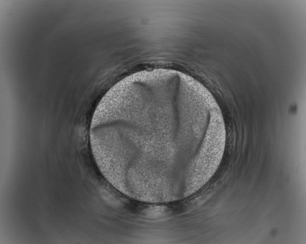 X0000100350609200807031815