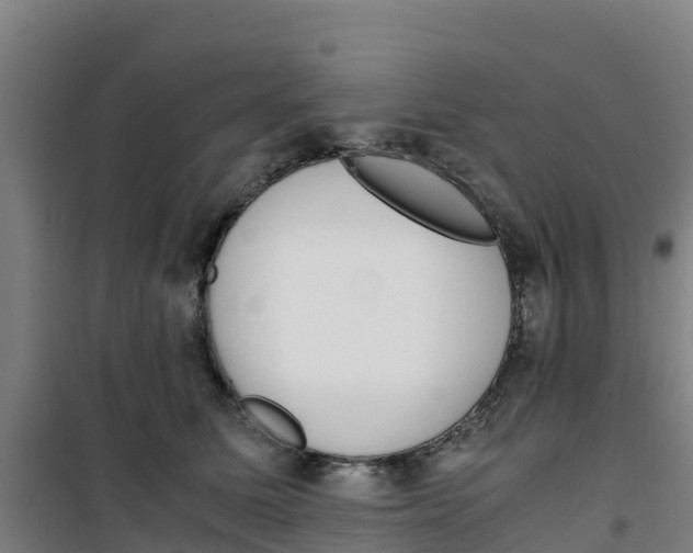 X0000100350611200807031815