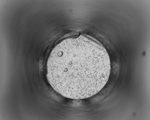 X0000100350612200807031815