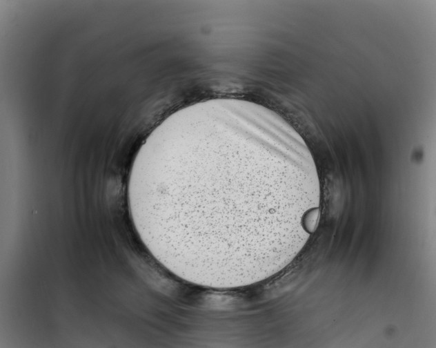 X0000100350614200807031815