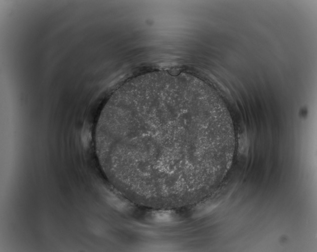 X0000100350618200807031815