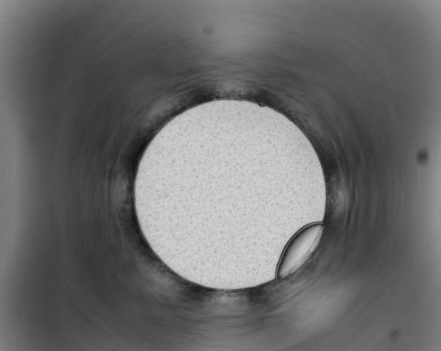 X0000100350619200807031815