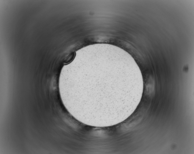 X0000100350620200807031815