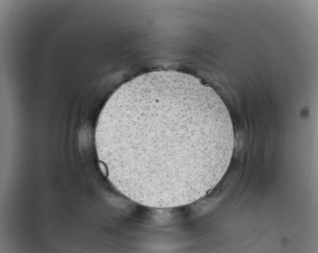 X0000100350623200807031815