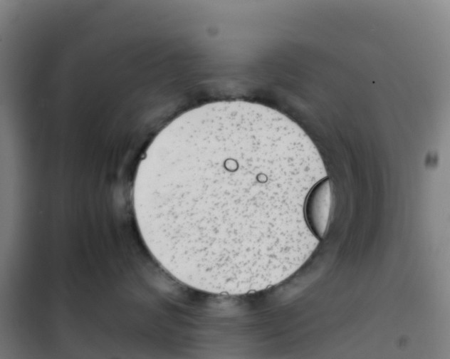 X0000100350624200807031815