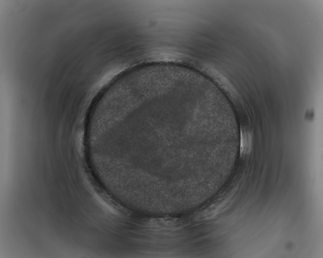 X0000100350627200807031815