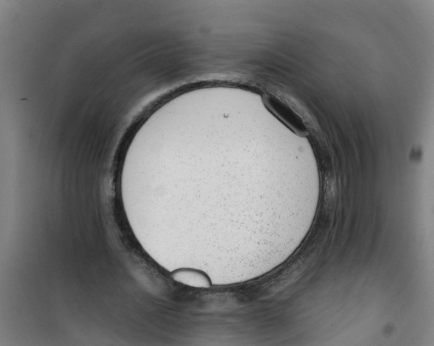 X0000100350628200807031815