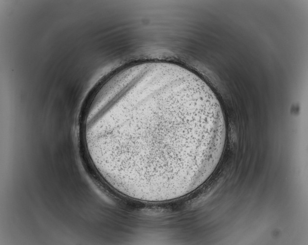 X0000100350630200807031815