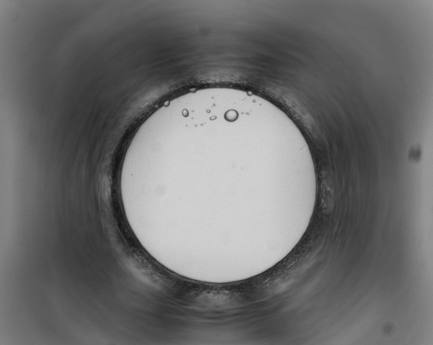 X0000100350631200807031815